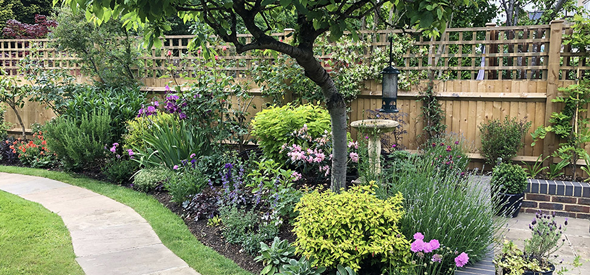 Garden Maintenance in Glasgow